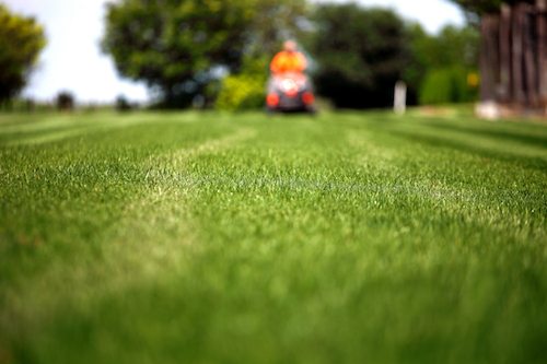 residential lawn maintenance in Chesapeake VA