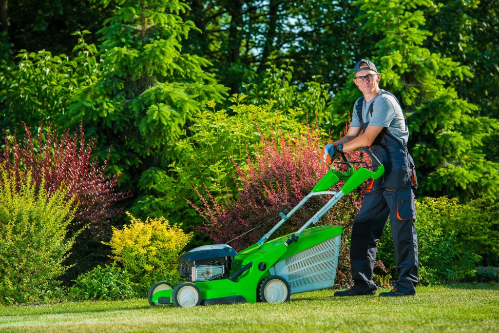 lawn care service in Great Bridge VA