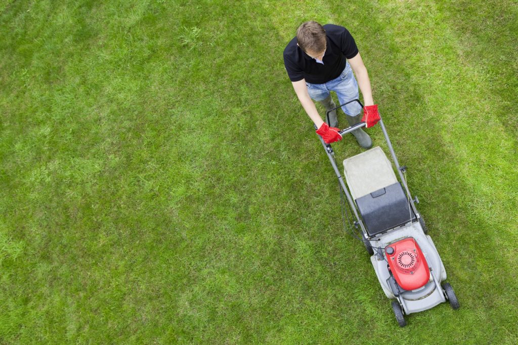 Lawn Care Service Chesapeake, VA