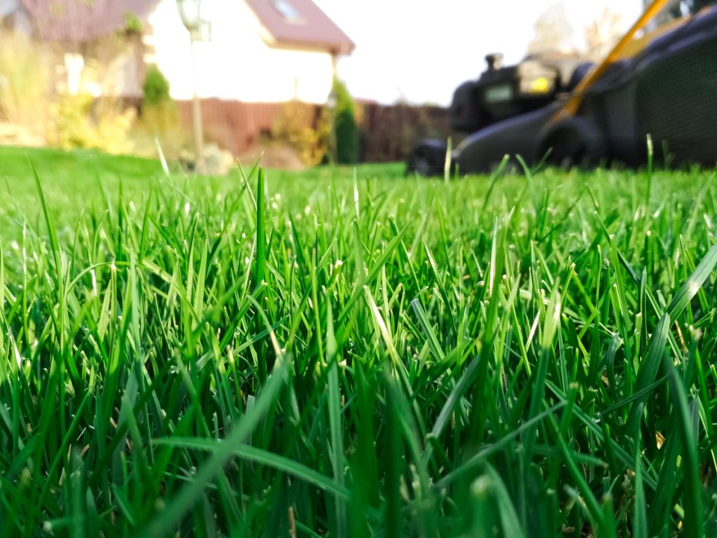 Lawn Care Services In Chesapeake