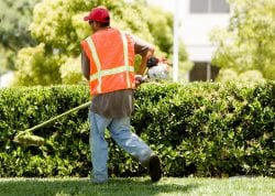 residential lawn service in Chesapeake